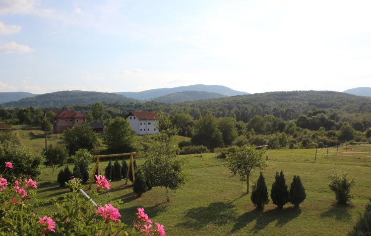 IMG_0524 - Version 2