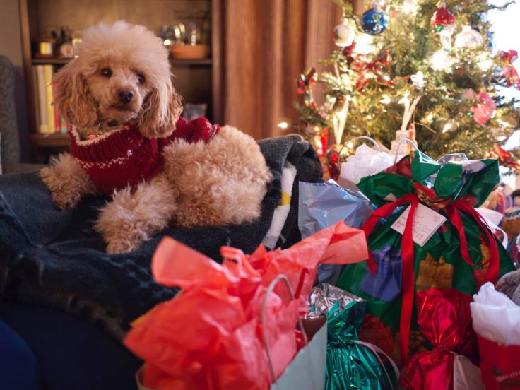 scarlett_christmas_2014